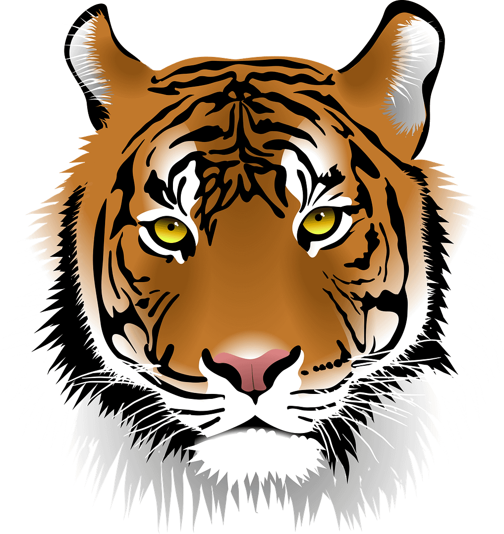 Tigar_png Image