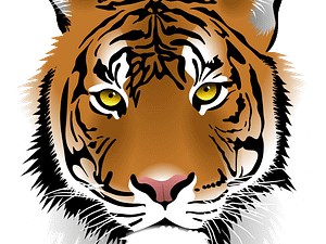 Tigar_png Image