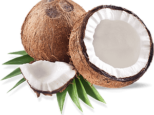 coconut-stock-images-png-transparent-resolution-2