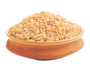 wheat-bowl-png-transplant-background
