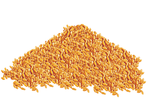 wheat-png-transparent-background